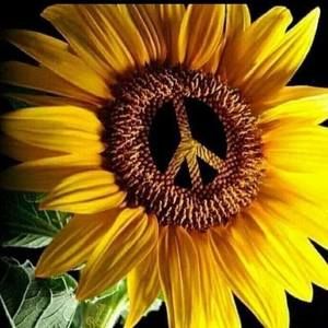 Meet your Posher, Colleen